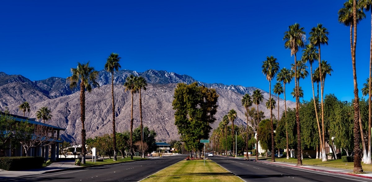 Road in Palm Springs